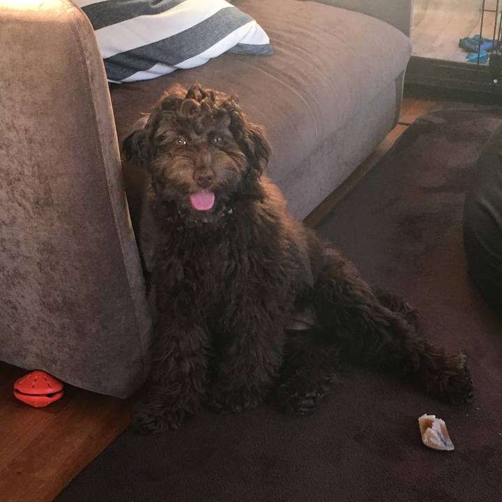 C243b4db 40d2 49d1 b1e0 ea30d5ce138e 1547190439591