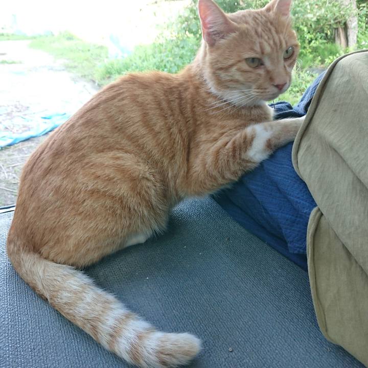 C243ed2b 003f 4ac2 931b ce8b282cdf84 1595149216101