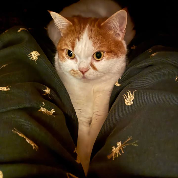 C243efb5 b0bb 4b43 9319 2579551b67d3 1765370342439