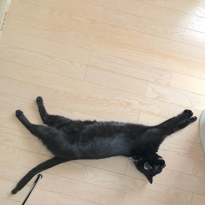 C2441525 72aa 433f 849b a1bf00ec9a0d 1514686329881