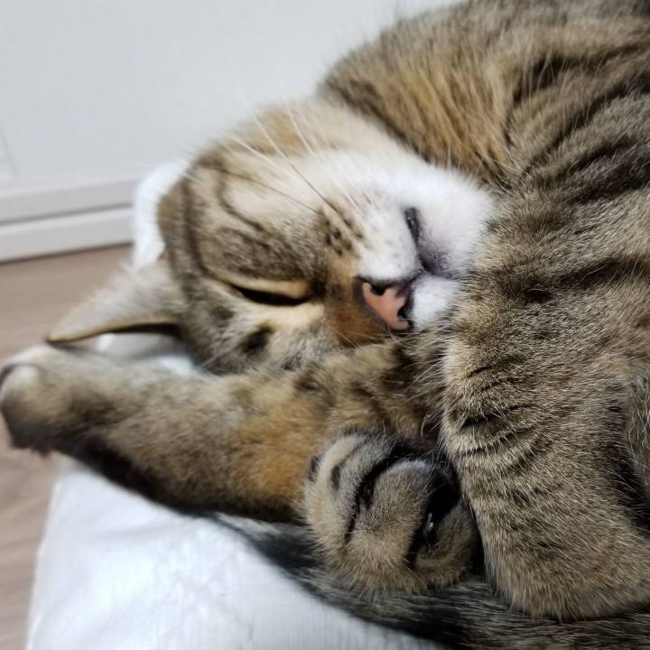 C2441b52 5f1e 4458 a1fc d17078ddc919 1558410406898