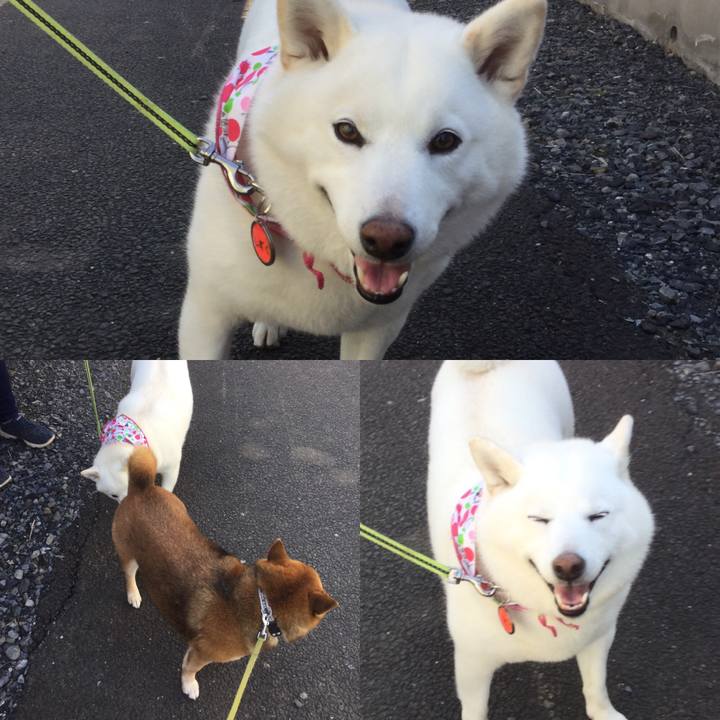 C2441ec0 e0fb 4b3c 8055 ddb70558c992 1580706413257