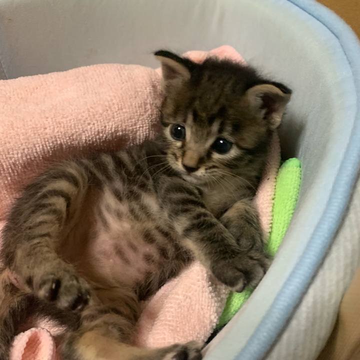 C2442aa8 732e 4a2b 8127 744e104ee661 1563237170532