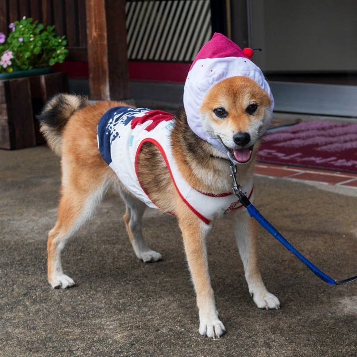 C2443f7f ace3 48c4 9240 7ec97f50e434 1756991070138