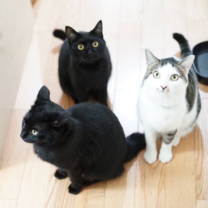 C244635f 21fb 45a2 a0cf 58eeb70c413e 1530391740069