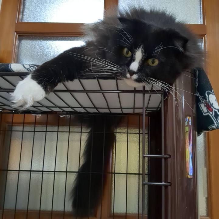 C2446625 eba2 4f2e bb28 5d328757f367 1690023584443