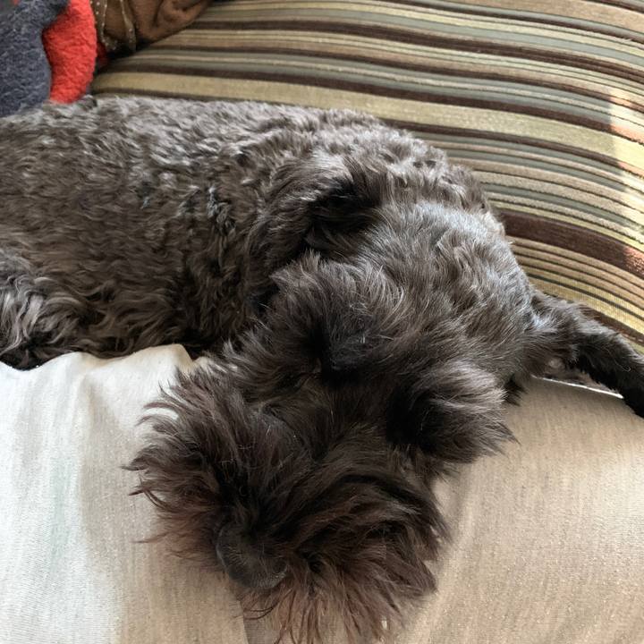 C2448c40 1900 44db 9115 c4ddddaeba80 1641688369867