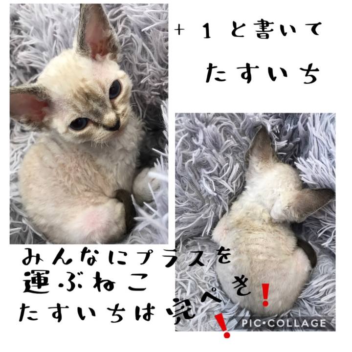 C244aad5 8d50 40f6 abc3 88299d55d569 1585991793614