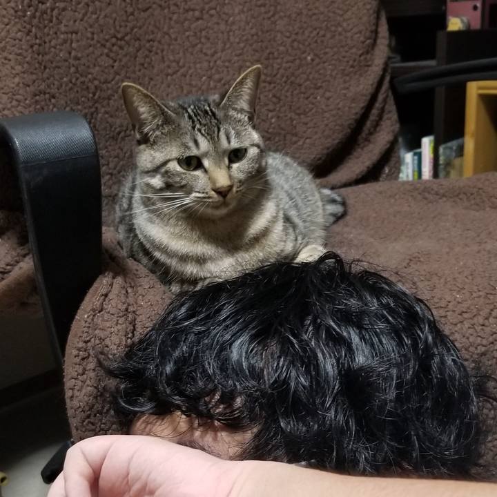 C244b7ef ba9b 4aa4 a2ea 5ab9c0e5adbf 1693545452873