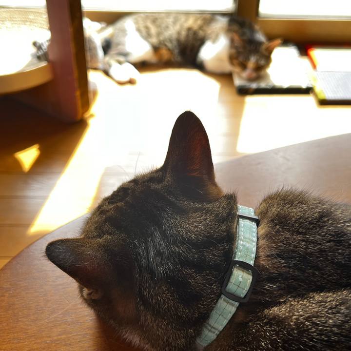 C244cedf ce28 4ad9 bdd0 bf7bb0990c81 1753246727067