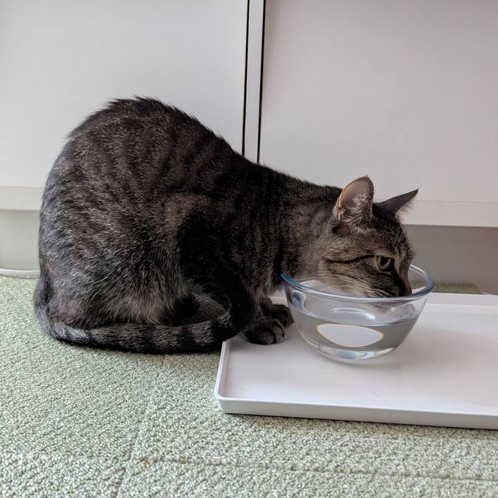 C244f265 2f82 4143 9c97 1269ac202c5d 1737438994030