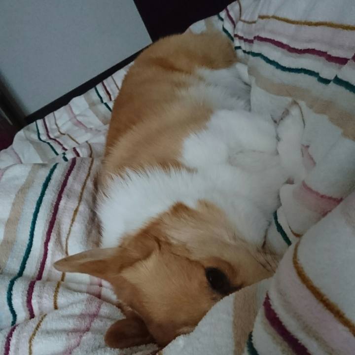 C244f7c4 62b4 4636 95f1 a913f3edfae6 1516920289932