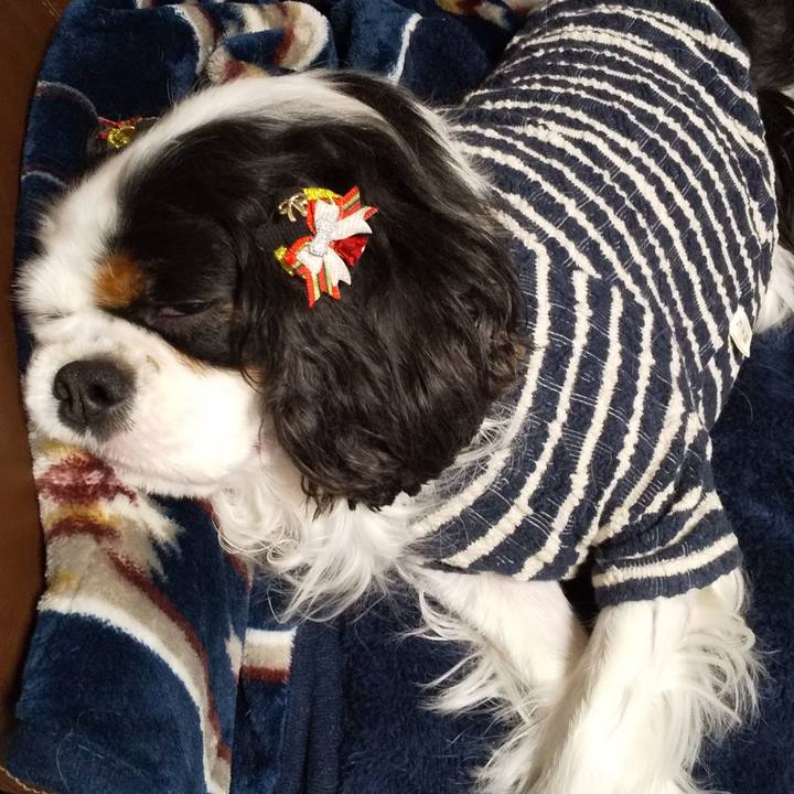 C24530bf 9fa9 4820 95ab bb40b1b53e47 1576250844761