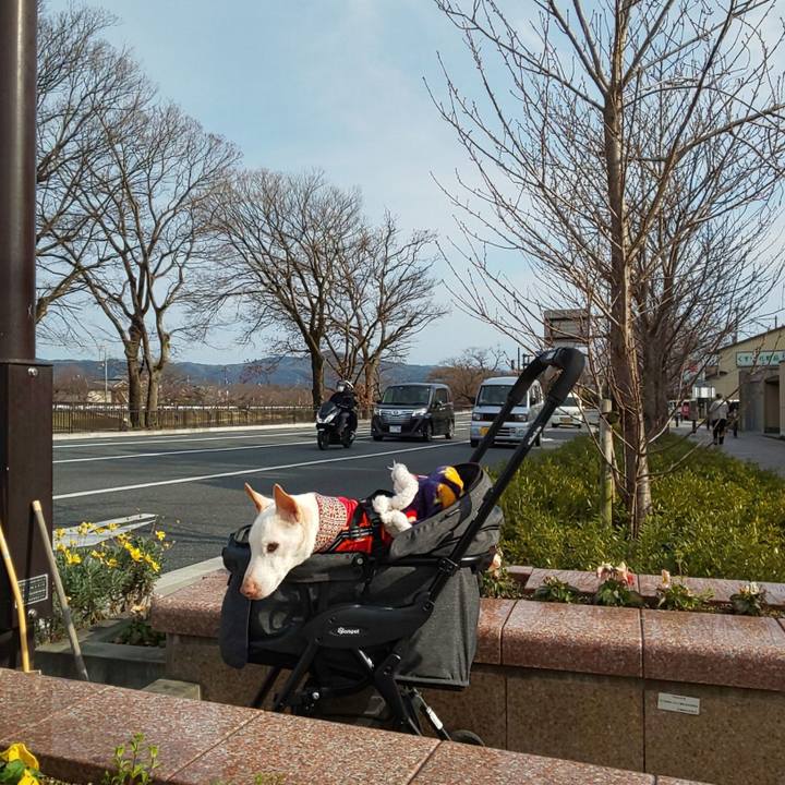 C2455187 0d7d 45c8 8be0 e445c78567fe 1583052027848