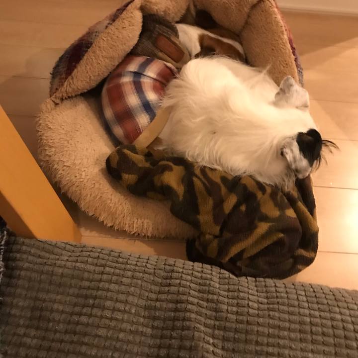 C2455a82 af9a 4c65 9d36 de4453fa8534 1540564422449