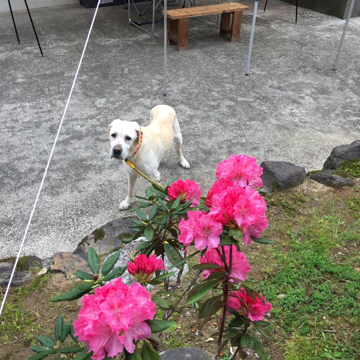 C24567d0 04af 44ac be8b 2f4466bc5457 1526171856062