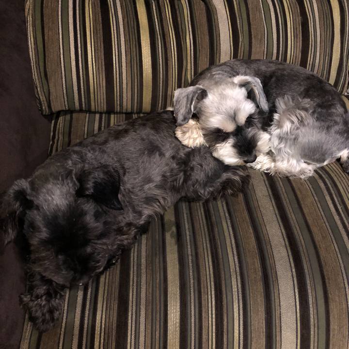 C245b595 21fe 4ce2 9019 c67740afa905 1522099541199