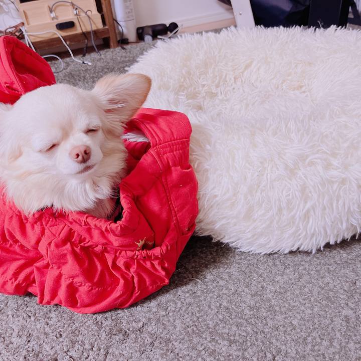 C245e0ec f89a 4e44 ab26 619f5ff6f3d2 1682280066682