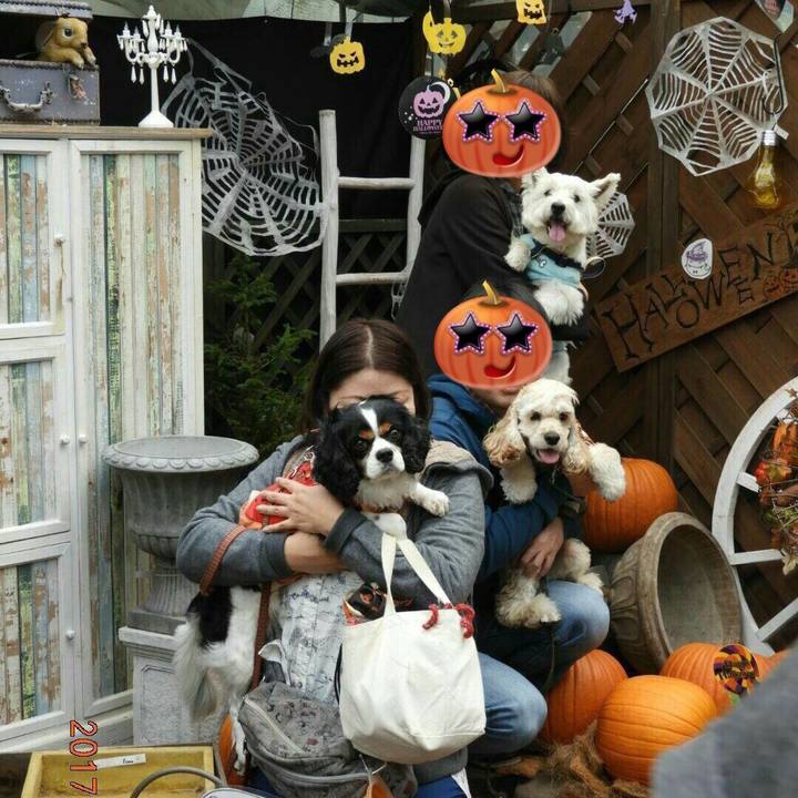 C2460d4f aced 491b 9360 1f5c7ade1604 1508640730765