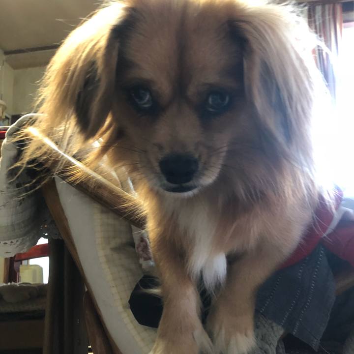 C2460dfa 859c 4868 8a03 7eaa82a1718a 1539121923564