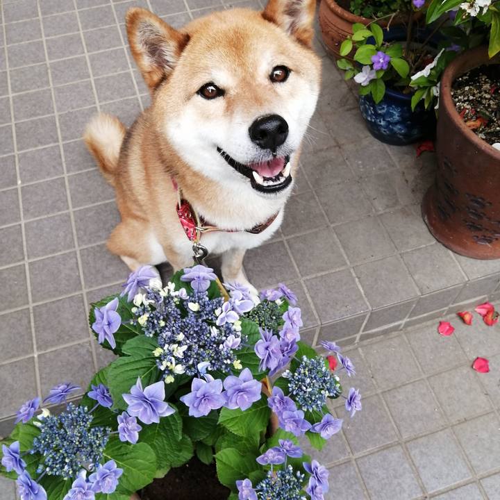 C2461863 2c46 422e a7e4 00e6834f4e50 1590396502854