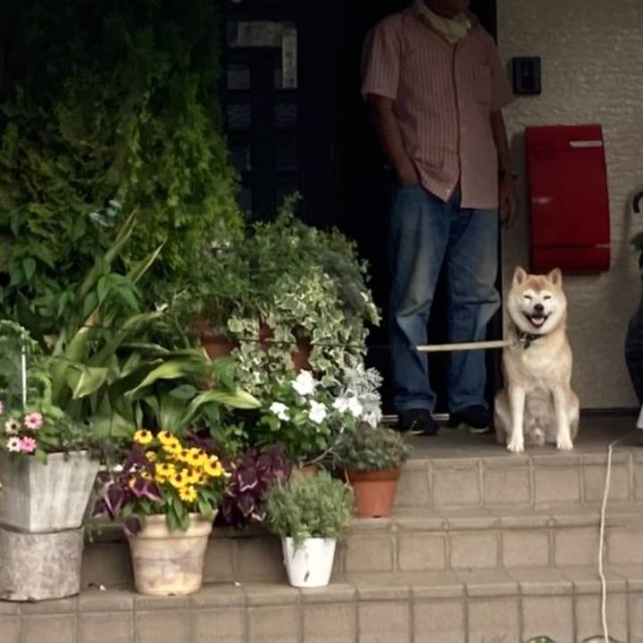 C2464faa 660c 4ee1 a29e eccc16bc3483 1658654066836