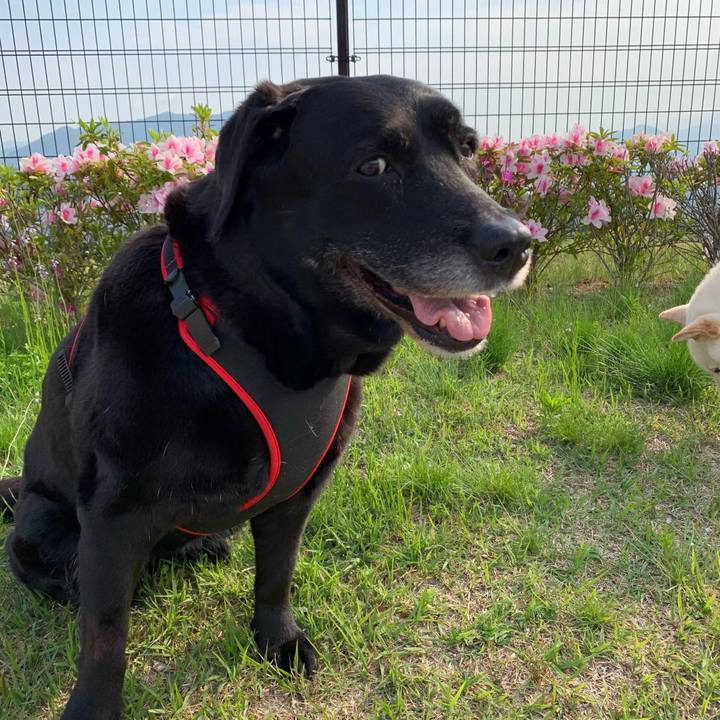 C2465dfa 176b 487e 961c 3d2a922bbe40 1557101252760