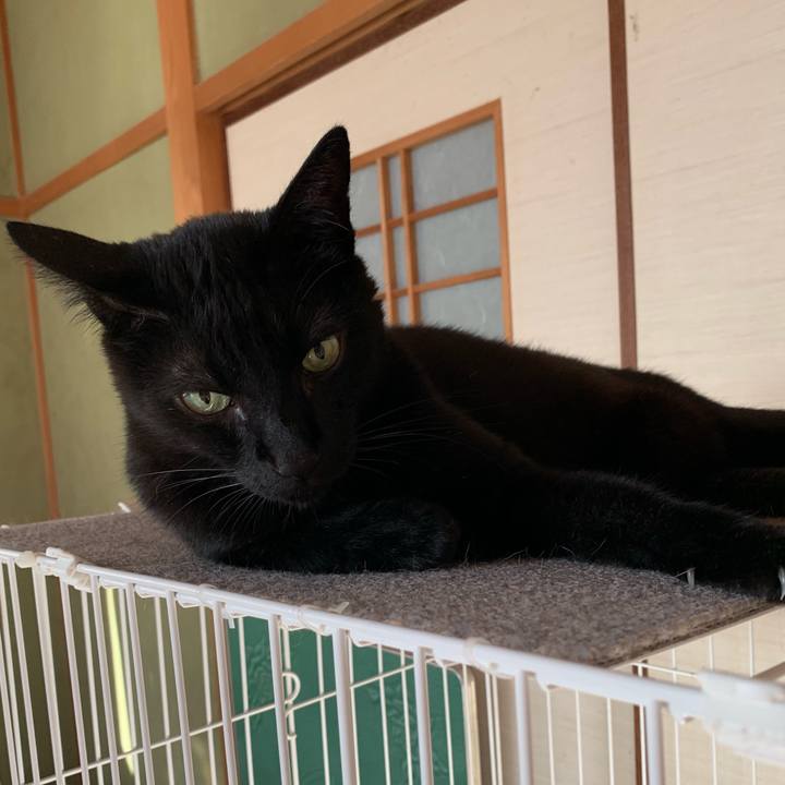 C2466690 d967 442c b9fc 153b73856955 1566258635861