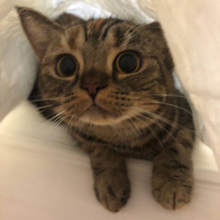 C246c442 46f2 486a a61e af451bc60d57 1601622250538