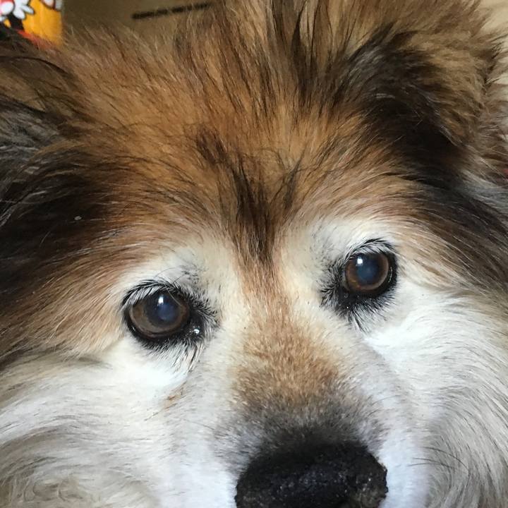 C246c669 34b2 471c 94f0 e3d307ed7643 1612678998564