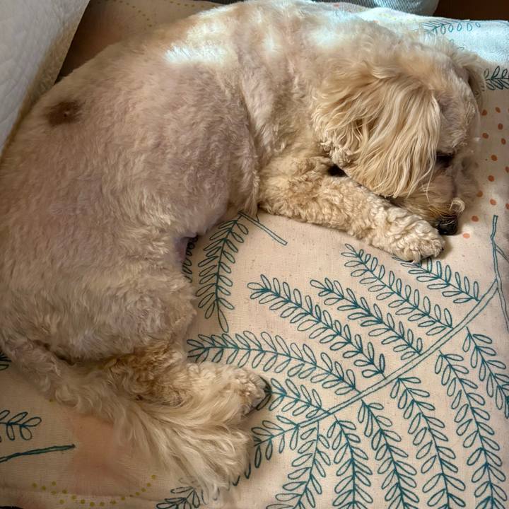 C246d2f7 35ca 468b 9389 063ce070c5ca 1760752060576