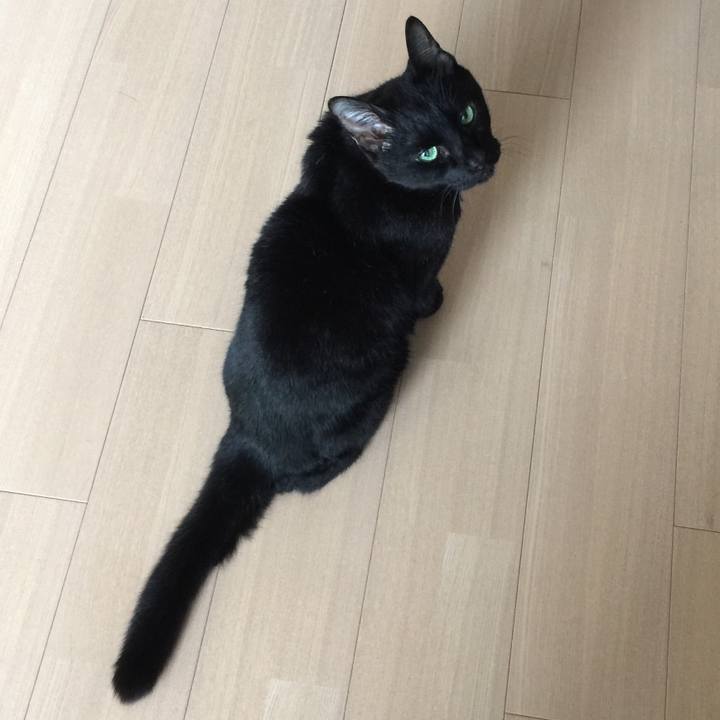 C246dfd6 4965 445c 87d8 96c740bcf2a0 1530940468703