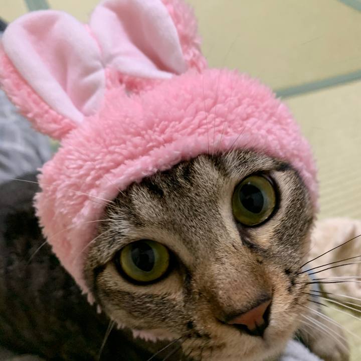 C2471567 eefb 4964 ae12 28ad8d3ad7ee 1585914650269