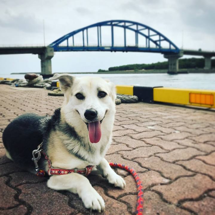 C2471575 1ba3 4819 97c4 643c46f9acea 1543466832942