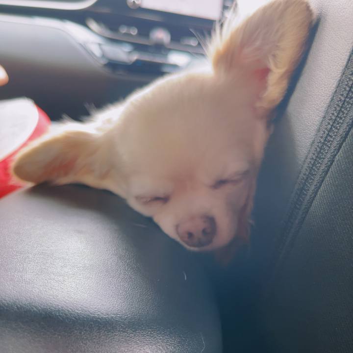 C247166b c2c1 4b70 bd67 63c47a046f7b 1751671082401