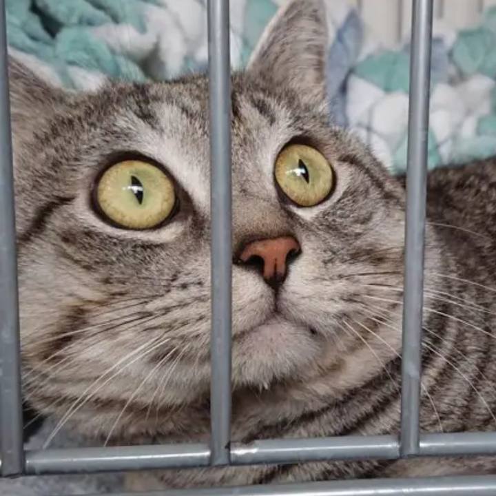 C24716cb dc77 4c37 98f5 d80cb3e7e5d4 1720443683880