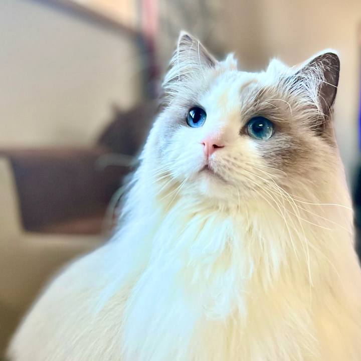 C247731f 50f0 40f5 966d d32ac6e22e34 1641368635523