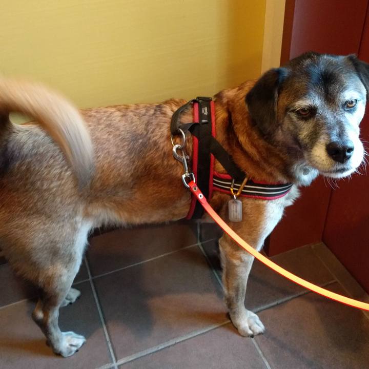 C247a2c8 1d2c 4d3e 9297 dcbf8aa7bfc1 1511070512241