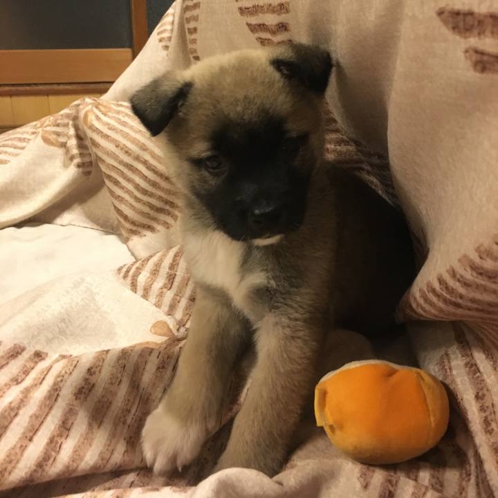 C247c699 7f45 4d63 b4a9 b2011fd2e4f9 1573731861753