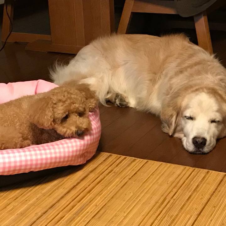 C247cac3 04cc 402a 947e 584185bd4bb5 1537619659324