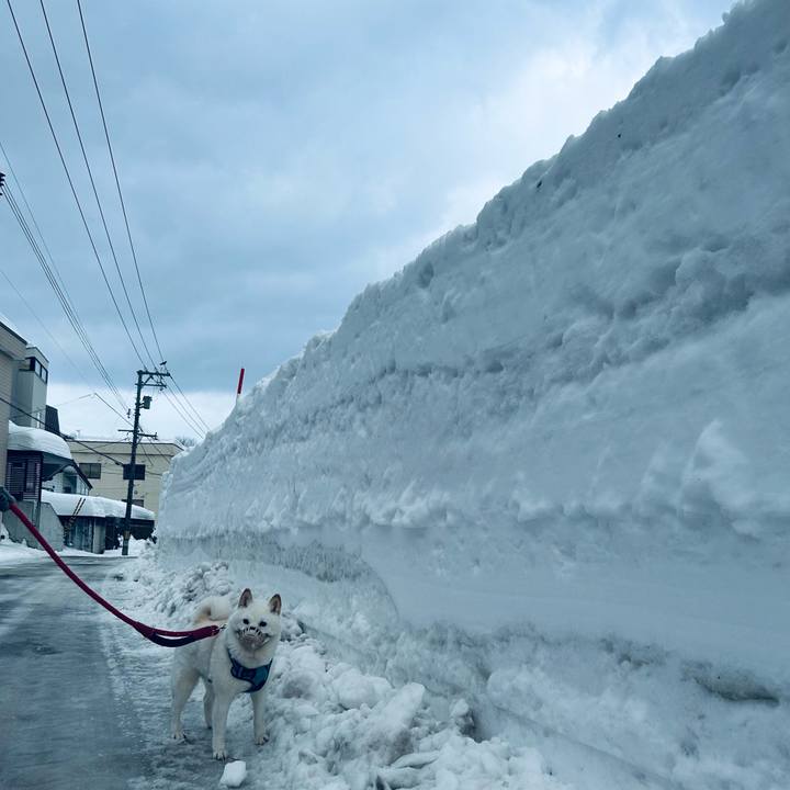 C247fc11 b984 4cbc ae20 b45ee8a9fa8a 1740521185197