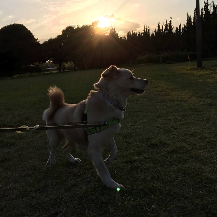 C2480d67 1a07 4d41 aa25 3e0467405067 1523115825751