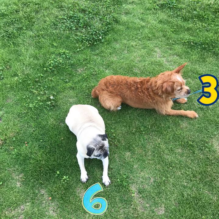 C2481b50 e17b 408c b81c 0409f647d565 1595409801370