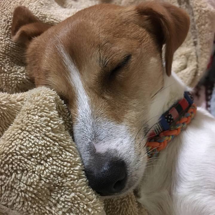 C248200c 77d8 4dd6 a0c5 63c5530d56d2 1509796006571