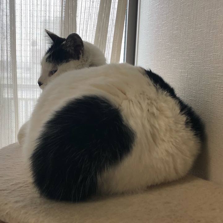 C248200e 9c7a 4447 b20e 50cfa48e5c17 1550532731250