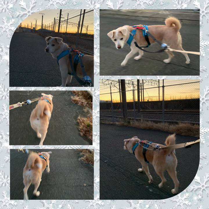 C24834ff e070 4460 a020 830c1d739942 1639871506175