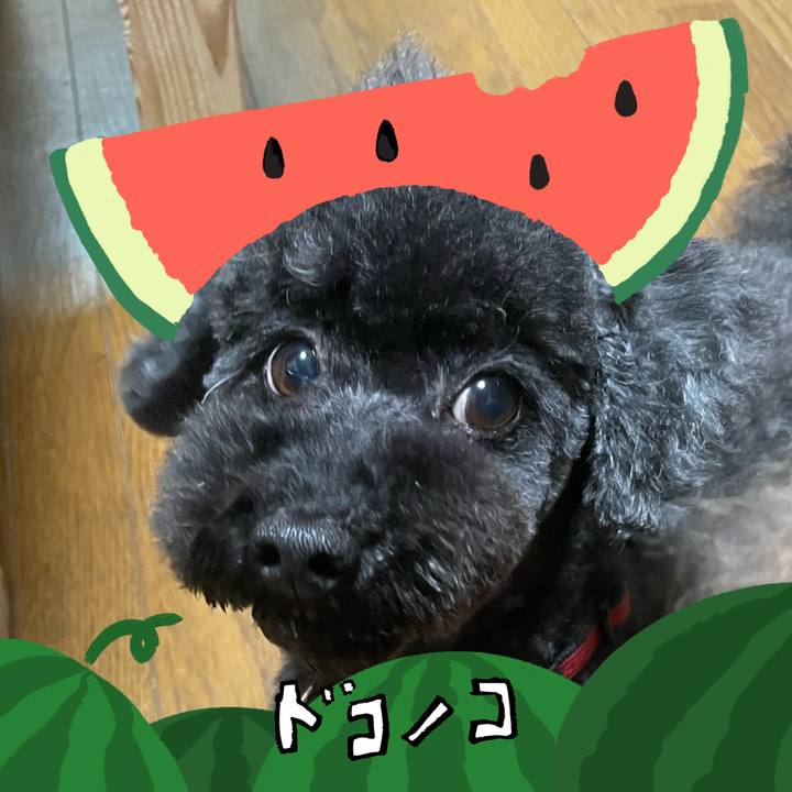 C24836e1 f6a2 4af8 9dcb fb8131d66b4b 1720854414559