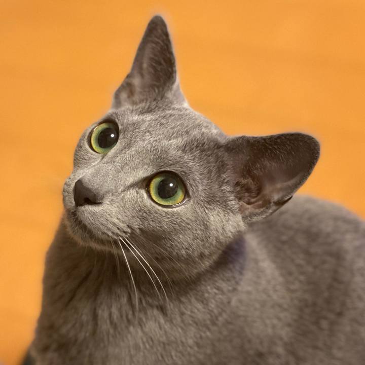 C248850c 0b9b 478f 8dbc 324e4a69de0b 1617320550775