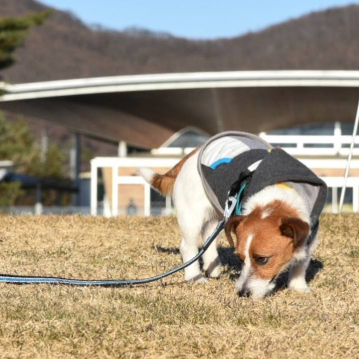 C24887d3 f4c0 4a75 9373 c8edde89d070 1513081026508