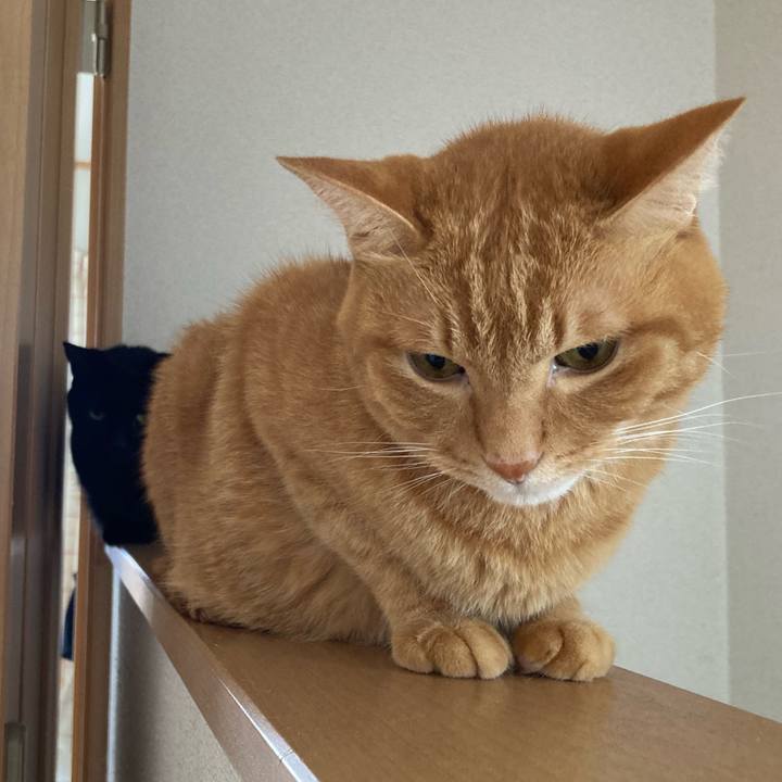 C248a818 f4cd 4814 bc6b 162e6d4fe995 1763987704598